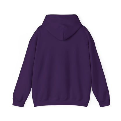 Cute Cat Face Hoodie For Cat Loving Human