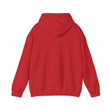 Cute Cat Face Hoodie For Cat Loving Human
