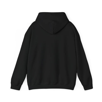 Cute Cat Face Hoodie For Cat Loving Human
