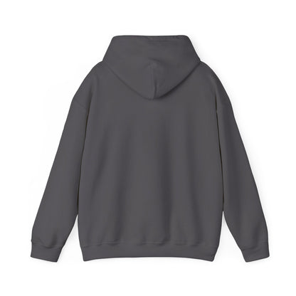 Cute Cat Face Hoodie For Cat Loving Human