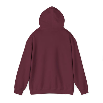 Cute Cat Face Hoodie For Cat Loving Human