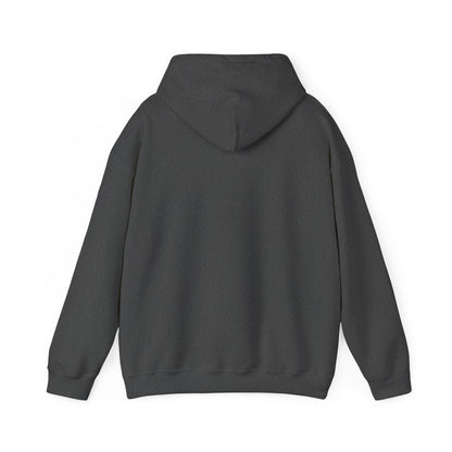 Cute Cat Face Hoodie For Cat Loving Human