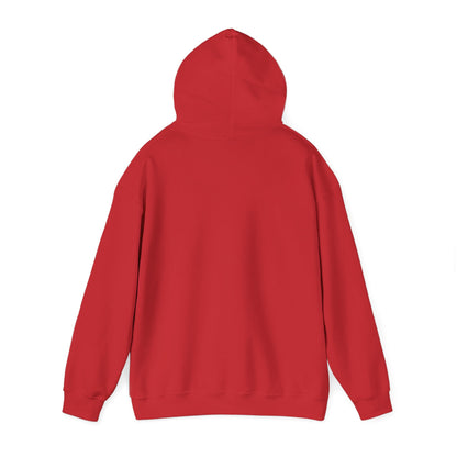 Cute Cat Face Hoodie For Cat Loving Human