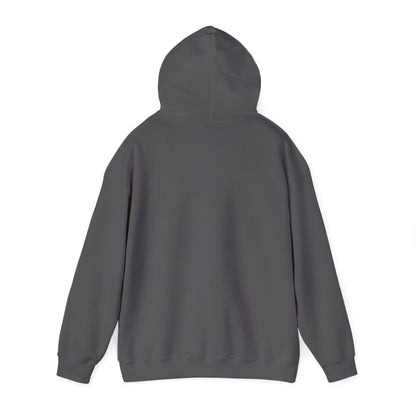 Cute Cat Face Hoodie For Cat Loving Human