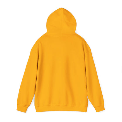 Cute Cat Face Hoodie For Cat Loving Human