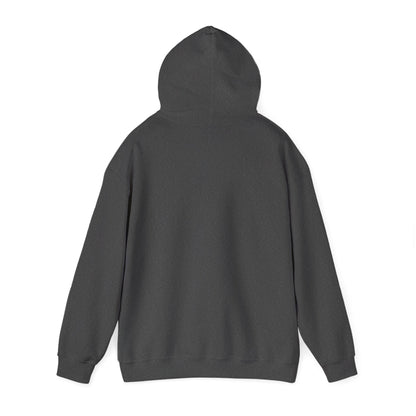 Cute Cat Face Hoodie For Cat Loving Human